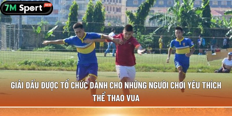 giai dau duoc to chuc danh cho nhung nguoi choi yeu thich the thao vua